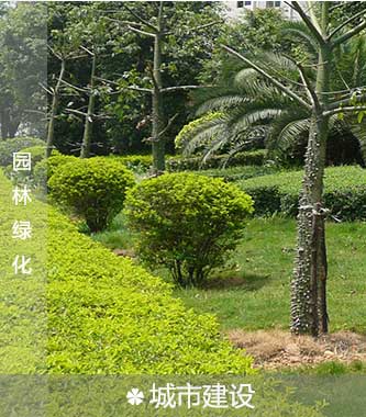 园林绿化