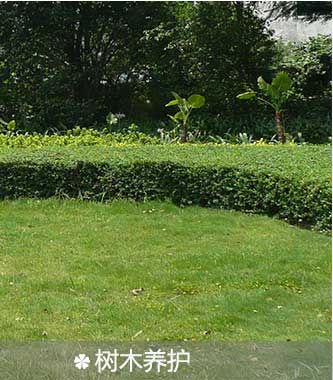 园林绿化
